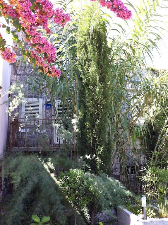Guesthouse Villa Colenda Korcula Town Exterior photo