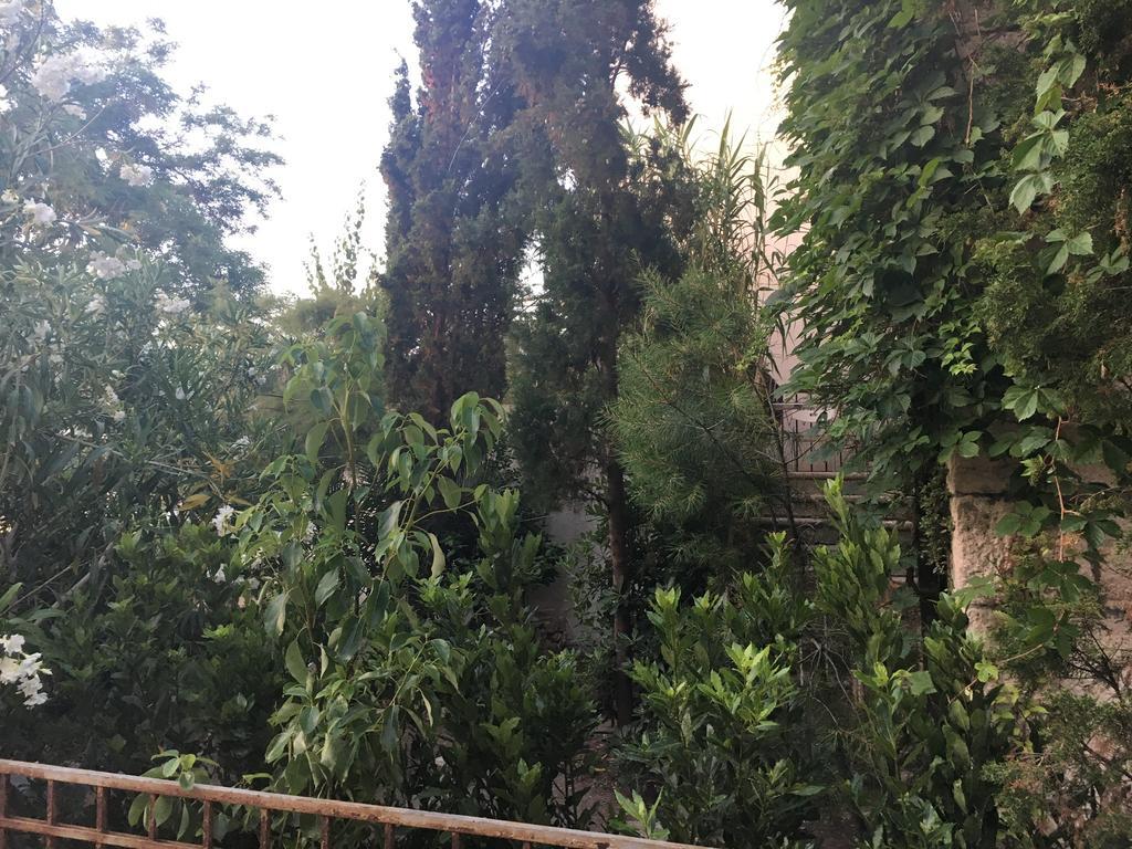 Guesthouse Villa Colenda Korcula Town Exterior photo